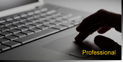 Professional